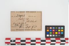 Etiketten zu Keramikgefäß (NHMW-PRAE-024948)